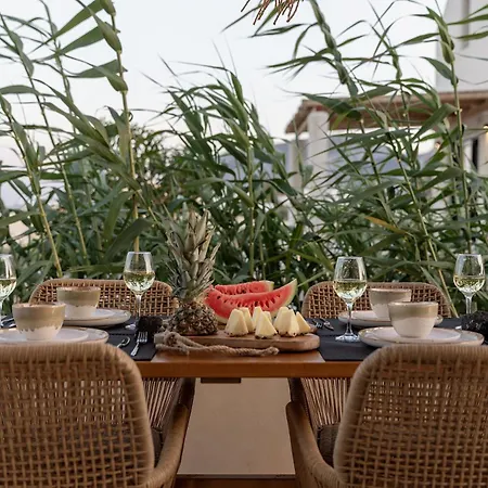 Villa Enso *